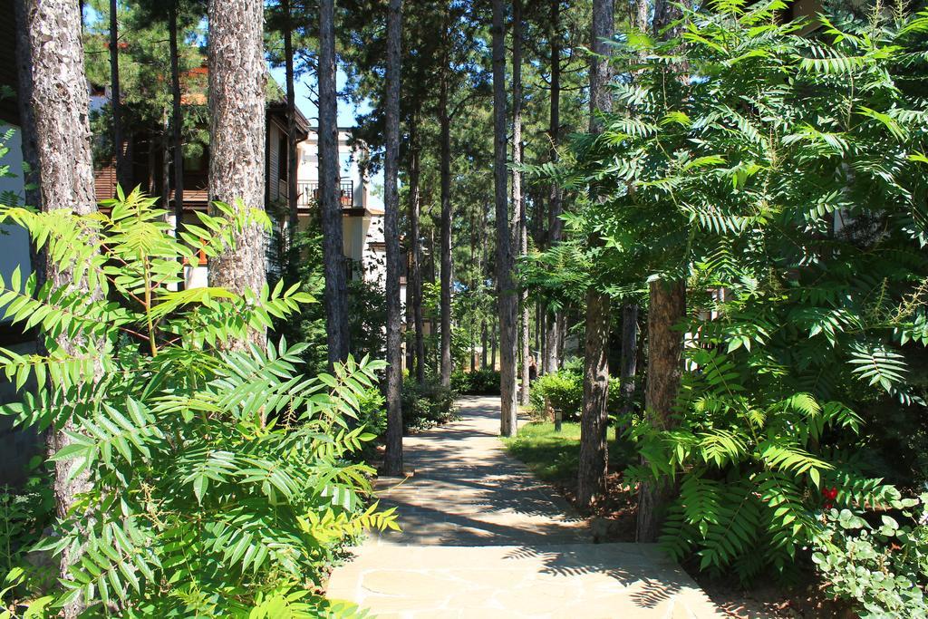 Apartments Dreambg Sozopol Ruang foto
